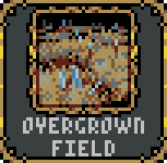 Overgrown field